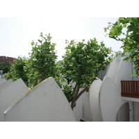 Photo France La Grande Motte 2006-06 53