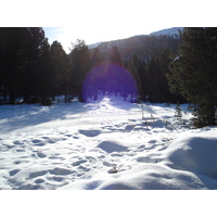 Photo Suisse Saint Moritz Schlarigna 2007-01 77