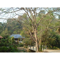 Photo Thaïlande Route de Chiang Mai à Pai 2007-02 151