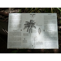 Photo Seychelles Vallée de Mai 2011-10 33