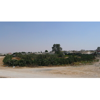 Photo Israel Route de Ashkelon à Arad 2007-06 110