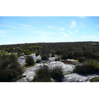 Photo Afrique du Sud Le Cap Montagne de la table 2008-09 118