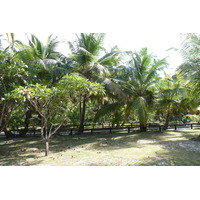 Photo Seychelles Anse Lazio 2011-10 13