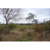 Photo Afrique du Sud Parc National Kruger Rivière Sable 2008-09 83