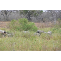 Photo Afrique du Sud Parc National Kruger Rivière Sable 2008-09 93