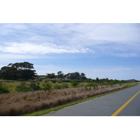 Photo Afrique du Sud Route de Harmanus à Knysna 2008-09 111