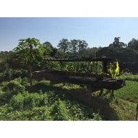 Photo Thaïlande Phitsanulok 2014-12 42
