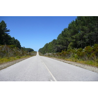 Photo Afrique du Sud route de Knysna à Port Elizabeth 2008-09 33