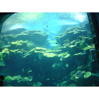 Photo Thaïlande Bangkok Siam Ocean World 2005-12 7