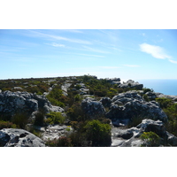Photo Afrique du Sud Le Cap Montagne de la table 2008-09 53
