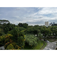Photo Singapour 2023-01 80