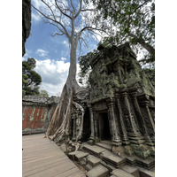 Photo Cambodge Siem Reap Ta Prohm 2023-01 128