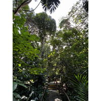 Photo Singapour Jardins botaniques de Singapore 2023-01 56