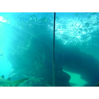 Photo Thaïlande Bangkok Siam Ocean World 2005-12 32
