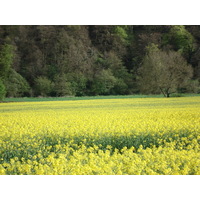 Photo Royaume-Uni Vallée de la Wye 2006-05 37