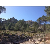 Photo France Corse Forêt de l'Ospedale 2012-09 38