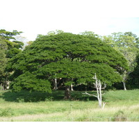 Photo Nouvelle-Calédonie route de Tontouta à Thio 2010-05 74