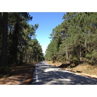 Photo France Corse Forêt de l'Ospedale 2012-09 45