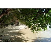 Photo Seychelles Mahé 2011-10 219