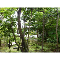 Photo Japon Kyoto résidence impériale Ninna ji 2010-06 100