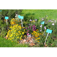 Photo France Paris Jardin des Plantes 2007-08 232