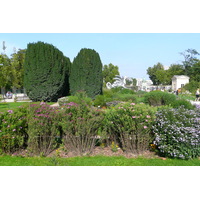 Photo France Paris Jardin des Plantes 2007-08 222