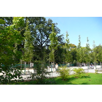 Photo France Paris Jardin des Plantes 2007-08 167
