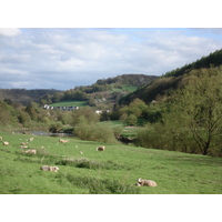 Photo Royaume-Uni Vallée de la Wye 2006-05 0