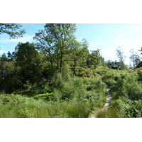 Photo Royaume-Uni Les Trossachs 2011-07 57