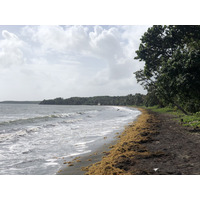 Photo Guadeloupe Plage de Viard 2021-02 4