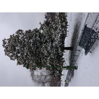 Photo France Paris Parc Monceau 2013-01 1