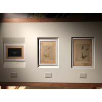 Photo Italie Sicile Palermo Palais des Normands 2020-02 242