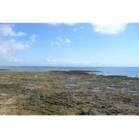 Photo France Ile Tudy 2008-07 1