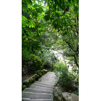 Photo France Paris Parc des Buttes-Chaumont 2007-08 197