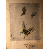 Photo Italie Sicile Palermo Palais des Normands 2020-02 14