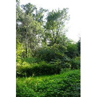 Photo France Paris Jardin des Plantes 2007-08 99