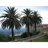 Photo France Corse Cervione 2006-09 43