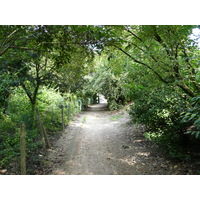 Photo France Paris Parc des Buttes-Chaumont 2007-08 37