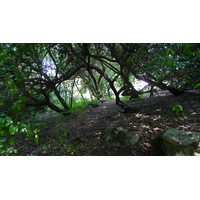 Photo France Paris Parc des Buttes-Chaumont 2007-08 17