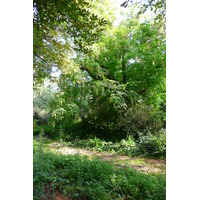 Photo France Paris Jardin des Plantes 2007-08 107