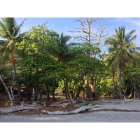 Photo Costa Rica Montezuma 2015-03 384