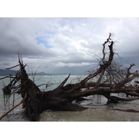 Photo Costa Rica Cahuita 2015-03 216