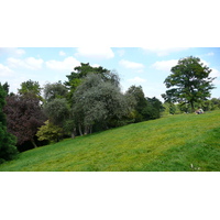 Photo France Paris Parc des Buttes-Chaumont 2007-08 221