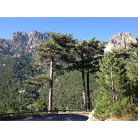 Photo France Corse Bavella 2012-09 41