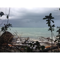 Photo Costa Rica Cahuita 2015-03 56