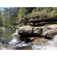 Photo France Corse Forêt d'Aïtone 2021-06 40