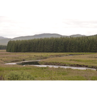 Photo Royaume-Uni Wester Ross 2011-07 121