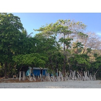 Photo Costa Rica Montezuma 2015-03 515