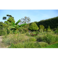 Photo France Paris Jardin des Plantes 2007-08 109