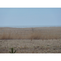 Photo Lettonie 2009-04 21